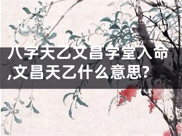 八字天乙文昌学堂入命,文昌天乙什么意思?