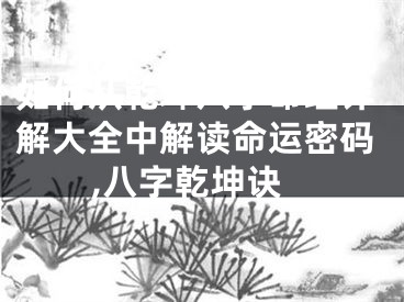如何从乾坤八字命理详解大全中解读命运密码,八字乾坤诀