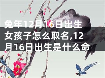 兔年12月16日出生女孩子怎么取名,12月16日出生是什么命