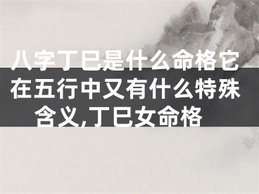 八字丁巳是什么命格它在五行中又有什么特殊含义,丁巳女命格