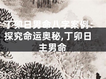 丁卯日男命八字案例：探究命运奥秘,丁卯日主男命