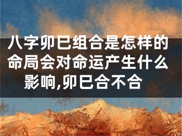 八字卯巳组合是怎样的命局会对命运产生什么影响,卯巳合不合