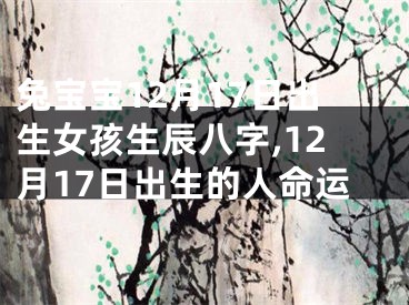 兔宝宝12月17日出生女孩生辰八字,12月17日出生的人命运