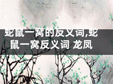 蛇鼠一窝的反义词,蛇鼠一窝反义词 龙凤