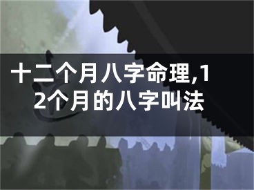 十二个月八字命理,12个月的八字叫法