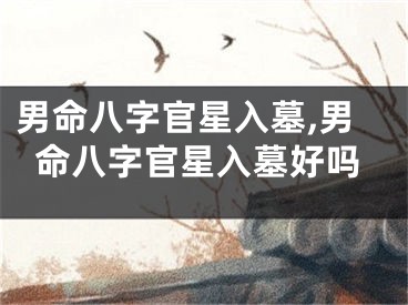 男命八字官星入墓,男命八字官星入墓好吗