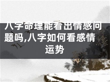 八字命理能看出情感问题吗,八字如何看感情运势