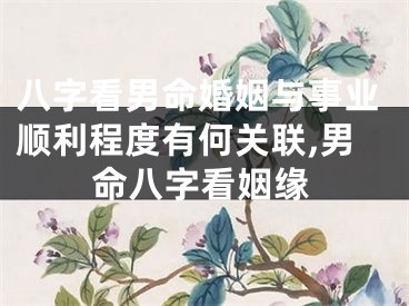 八字看男命婚姻与事业顺利程度有何关联,男命八字看姻缘