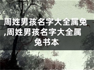 周姓男孩名字大全属兔,周姓男孩名字大全属兔书本