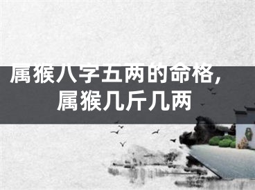 属猴八字五两的命格,属猴几斤几两