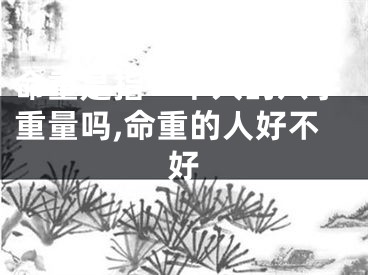 命重是指一个人的八字重量吗,命重的人好不好