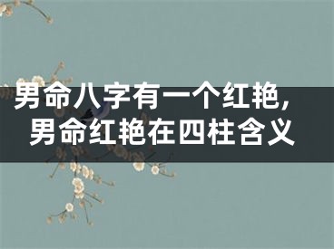 男命八字有一个红艳,男命红艳在四柱含义