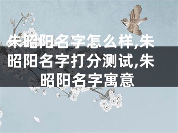 朱昭阳名字怎么样,朱昭阳名字打分测试,朱昭阳名字寓意