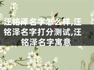汪铭泽名字怎么样,汪铭泽名字打分测试,汪铭泽名字寓意