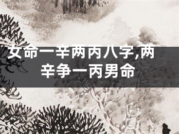 女命一辛两丙八字,两辛争一丙男命