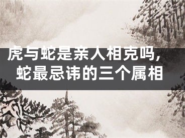 虎与蛇是亲人相克吗,蛇最忌讳的三个属相