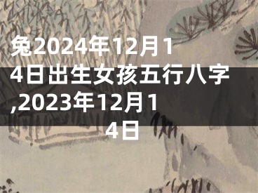 兔2024年12月14日出生女孩五行八字,2023年12月14日