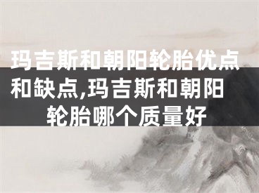 玛吉斯和朝阳轮胎优点和缺点,玛吉斯和朝阳轮胎哪个质量好