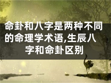 命卦和八字是两种不同的命理学术语,生辰八字和命卦区别