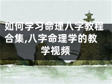 如何学习命理八字教程合集,八字命理学的教学视频