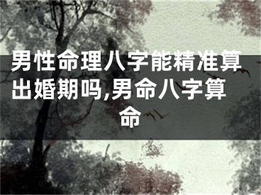 男性命理八字能精准算出婚期吗,男命八字算命