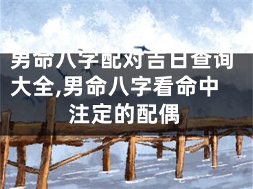 男命八字配对吉日查询大全,男命八字看命中注定的配偶