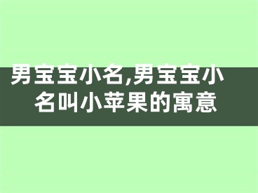 男宝宝小名,男宝宝小名叫小苹果的寓意