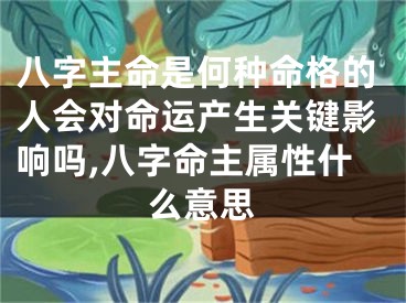 八字主命是何种命格的人会对命运产生关键影响吗,八字命主属性什么意思