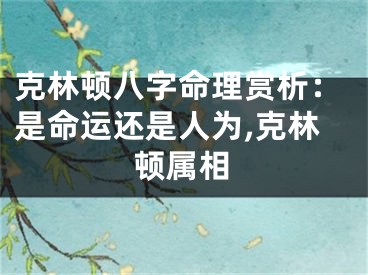 克林顿八字命理赏析：是命运还是人为,克林顿属相