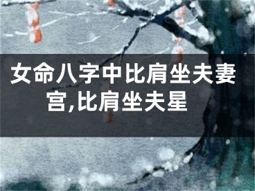 女命八字中比肩坐夫妻宫,比肩坐夫星