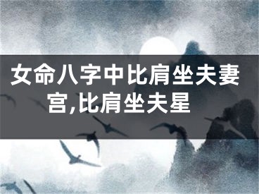 女命八字中比肩坐夫妻宫,比肩坐夫星