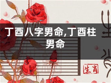 丁酉八字男命,丁酉柱男命