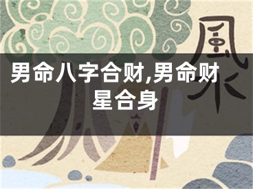 男命八字合财,男命财星合身