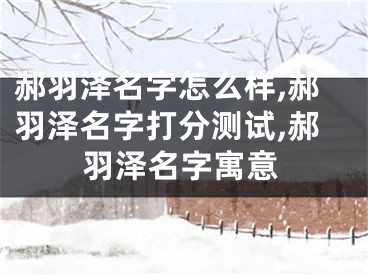 郝羽泽名字怎么样,郝羽泽名字打分测试,郝羽泽名字寓意