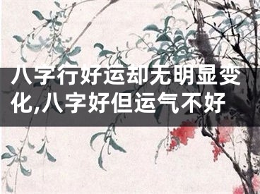 八字行好运却无明显变化,八字好但运气不好