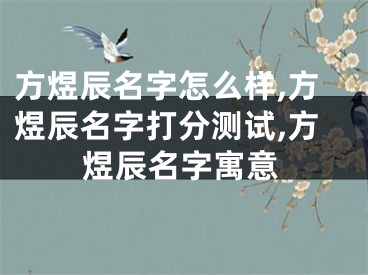 方煜辰名字怎么样,方煜辰名字打分测试,方煜辰名字寓意