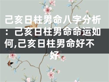 己亥日柱男命八字分析：己亥日柱男命命运如何,己亥日柱男命好不好