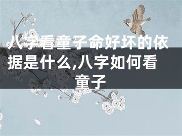 八字看童子命好坏的依据是什么,八字如何看童子