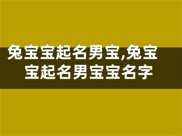 兔宝宝起名男宝,兔宝宝起名男宝宝名字