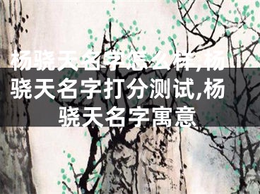 杨骁天名字怎么样,杨骁天名字打分测试,杨骁天名字寓意