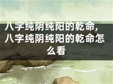 八字纯阴纯阳的乾命,八字纯阴纯阳的乾命怎么看