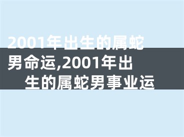 2001年出生的属蛇男命运,2001年出生的属蛇男事业运