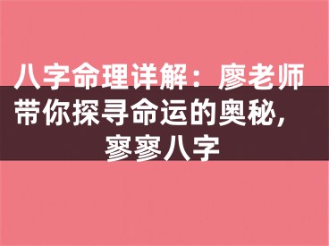 八字命理详解：廖老师带你探寻命运的奥秘,寥寥八字