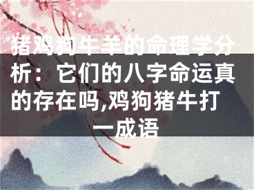 猪鸡狗牛羊的命理学分析：它们的八字命运真的存在吗,鸡狗猪牛打一成语