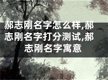 郝志刚名字怎么样,郝志刚名字打分测试,郝志刚名字寓意