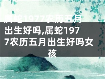 属蛇1977农历五月出生好吗,属蛇1977农历五月出生好吗女孩