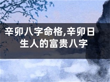 辛卯八字命格,辛卯日生人的富贵八字