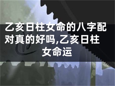 乙亥日柱女命的八字配对真的好吗,乙亥日柱女命运