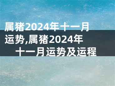 属猪2024年十一月运势,属猪2024年十一月运势及运程