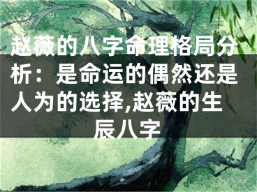 赵薇的八字命理格局分析：是命运的偶然还是人为的选择,赵薇的生辰八字